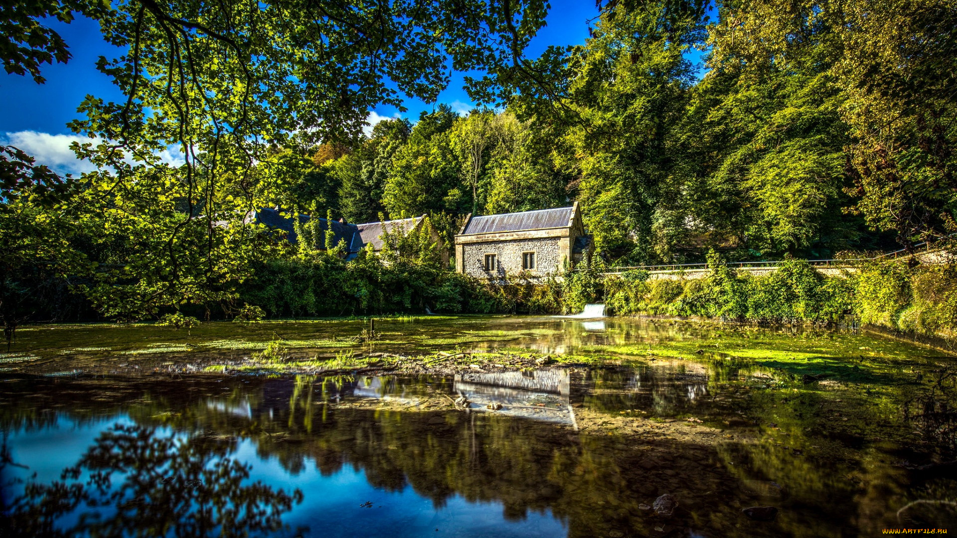 mill pond, west sussex, england, , - ,  , mill, pond, west, sussex